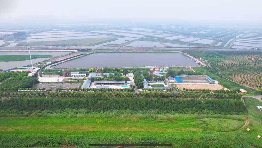 Xi, 生态体验与, om