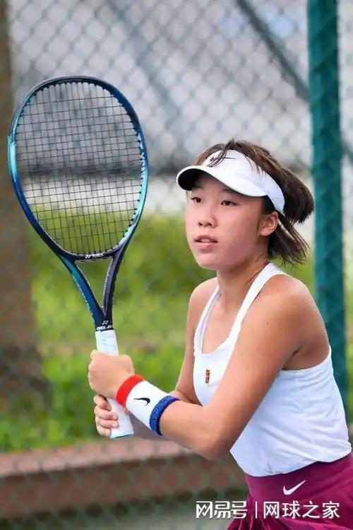 送出一枚鸭, dwp